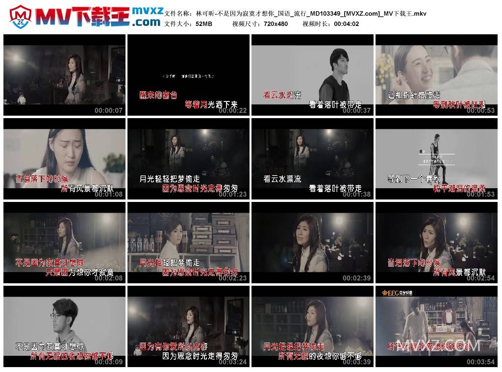 林可昕-不是因为寂寞才想你_国语_流行_MD103349